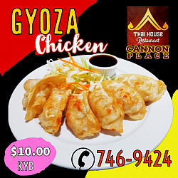 Gyoza Chicken