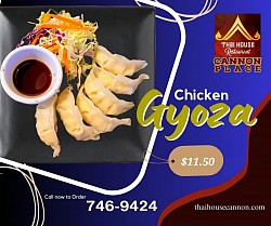 Gyoza Chicken